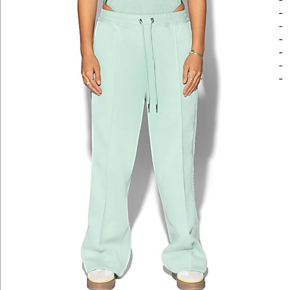 Ivy Park x Adidas suit pants
